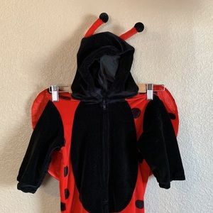 Toddler Ladybug costume. 18 months